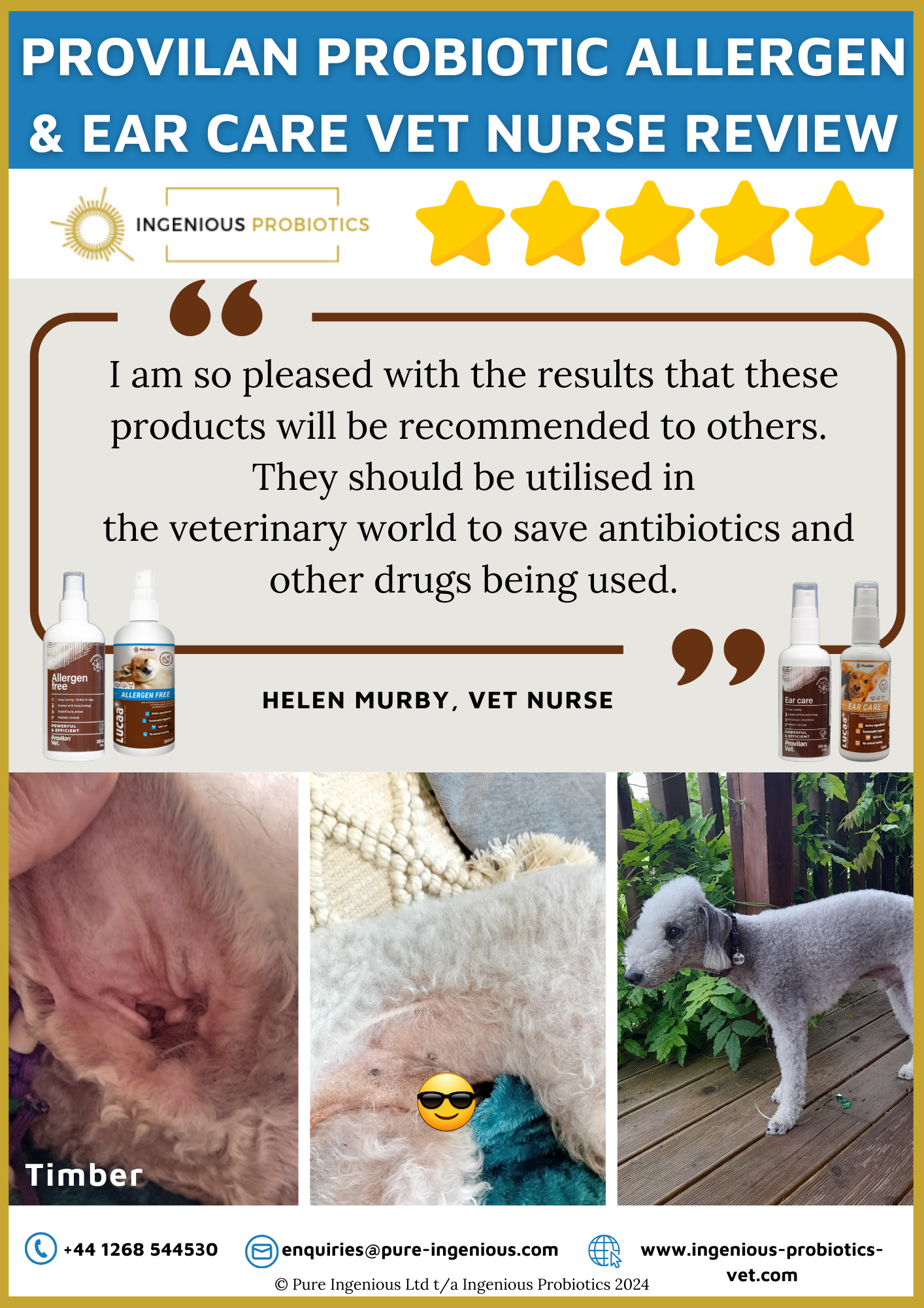A Vet Nurse’s Perspective