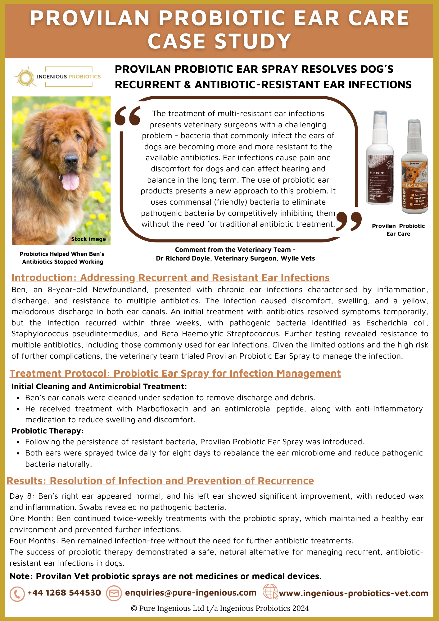 Probiotic Ear Spray for Managing Antibiotic-Resistant Ear Infections