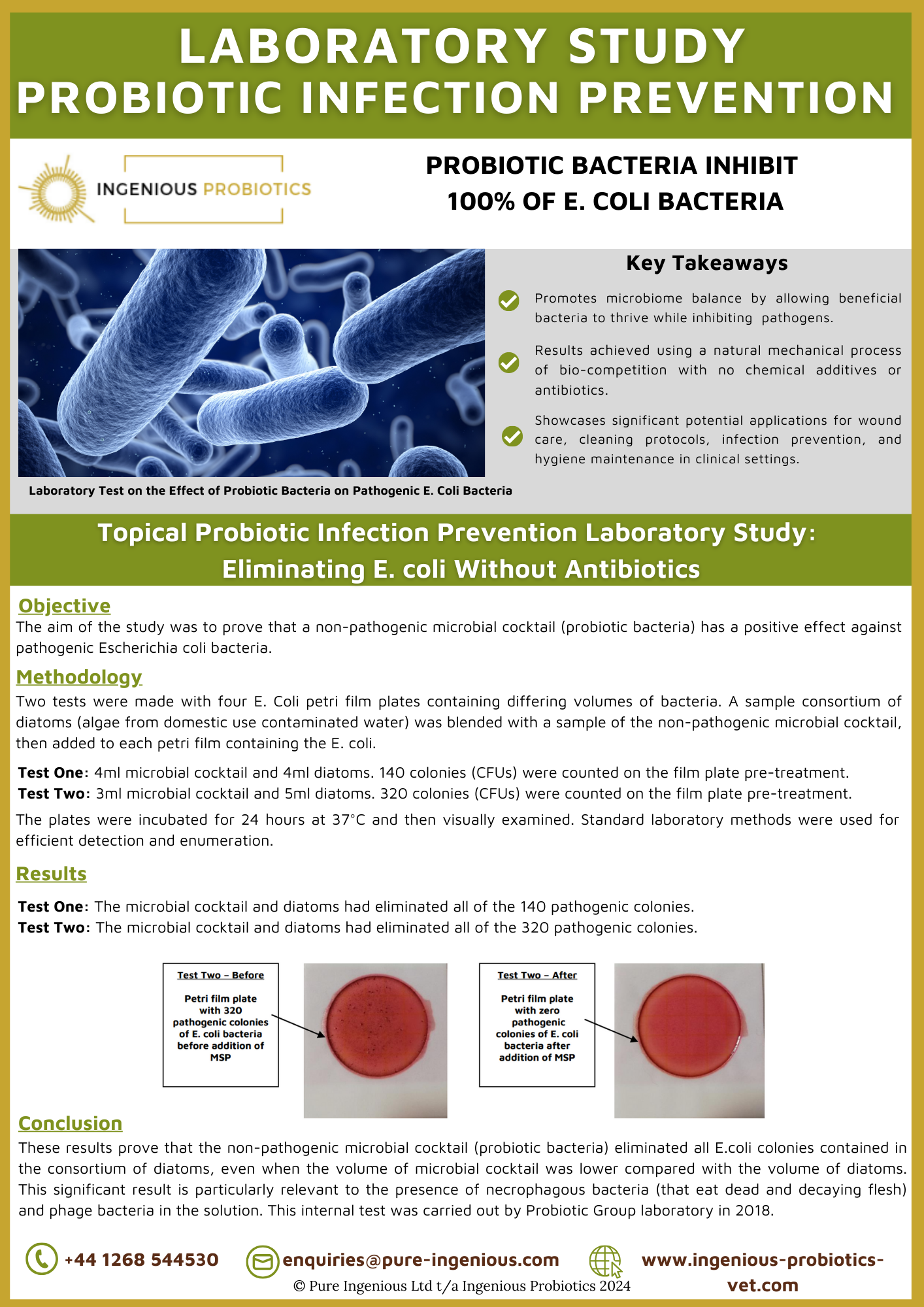 Laboratory Study - Probiotic Bacteria Inhibit 100% of E. coli Bacteria