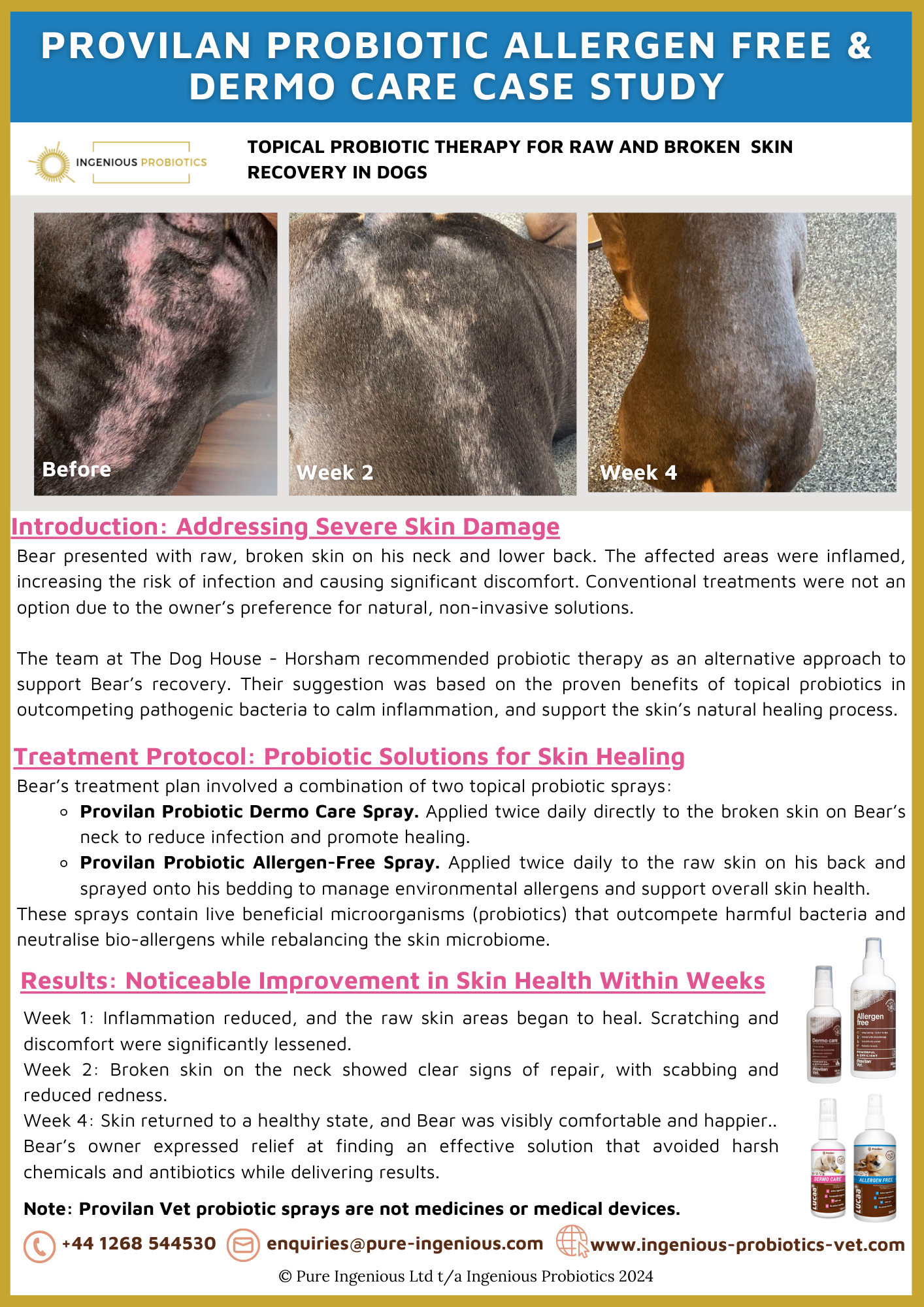 Topical Probiotic Therapy for Raw Skin Recovery in Dogs