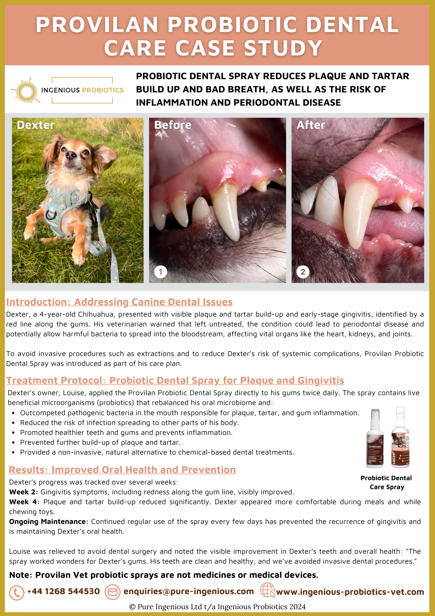 Probiotic Therapy for Animal Dental Health