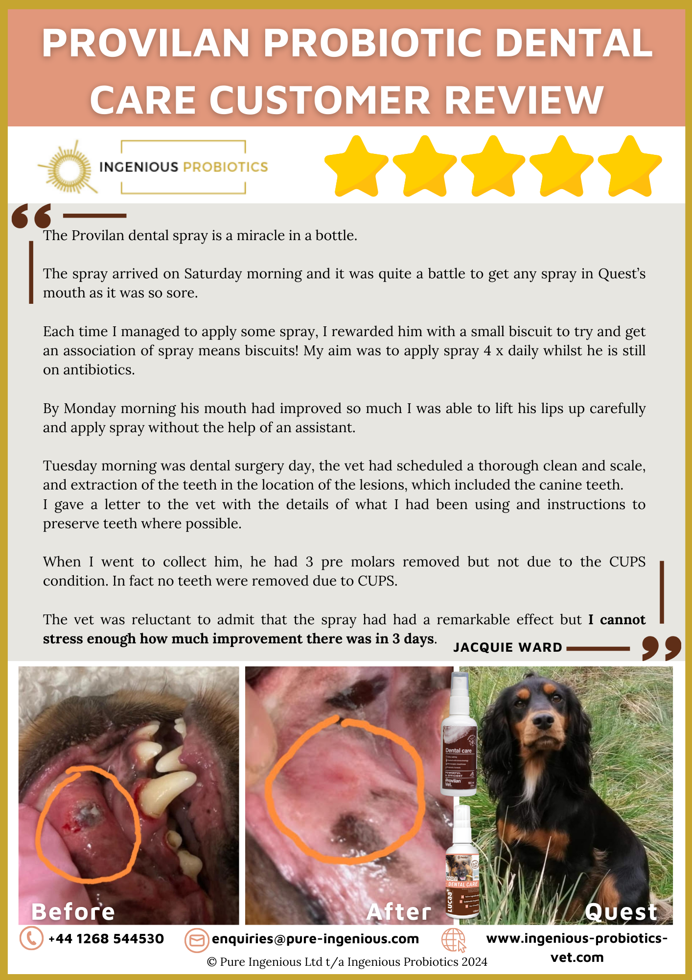 Canine Ulcerative Paradental Stomatitis