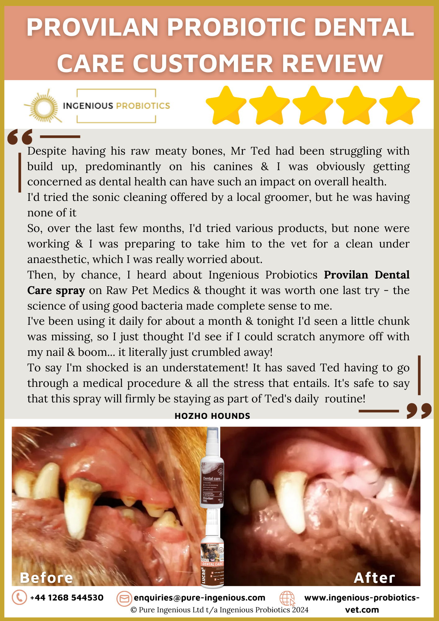 Plaque & Tartar Build Up