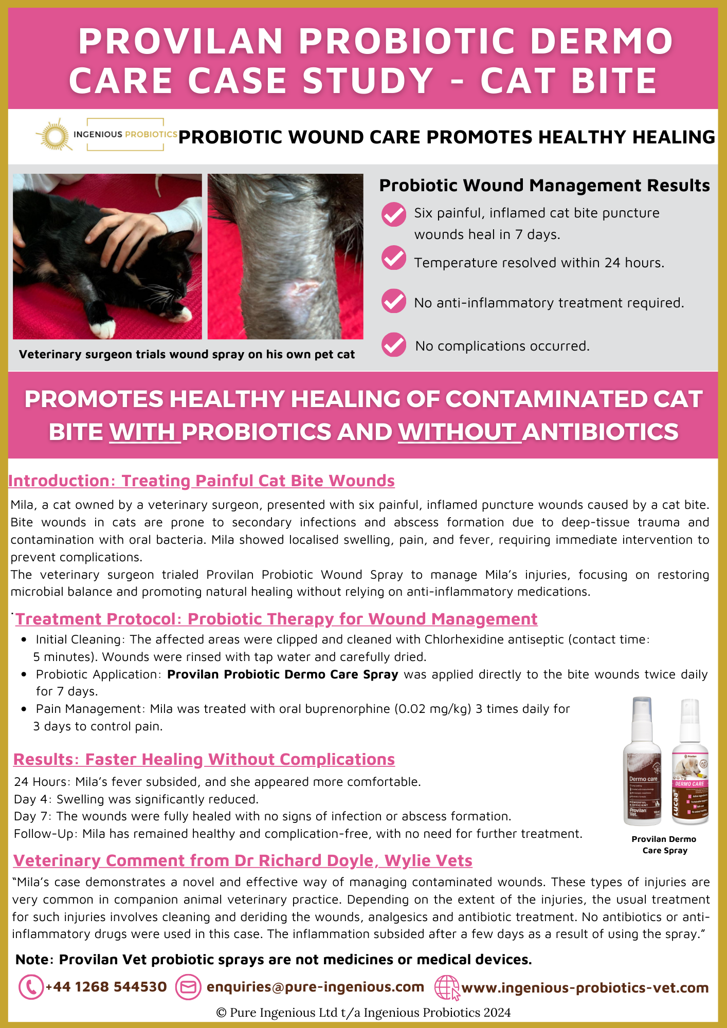 Probiotic Spray for Feline Bite Wound Management