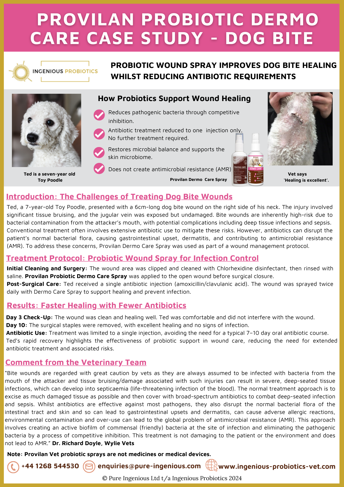 Probiotic Spray for Canine Bite Wound Management