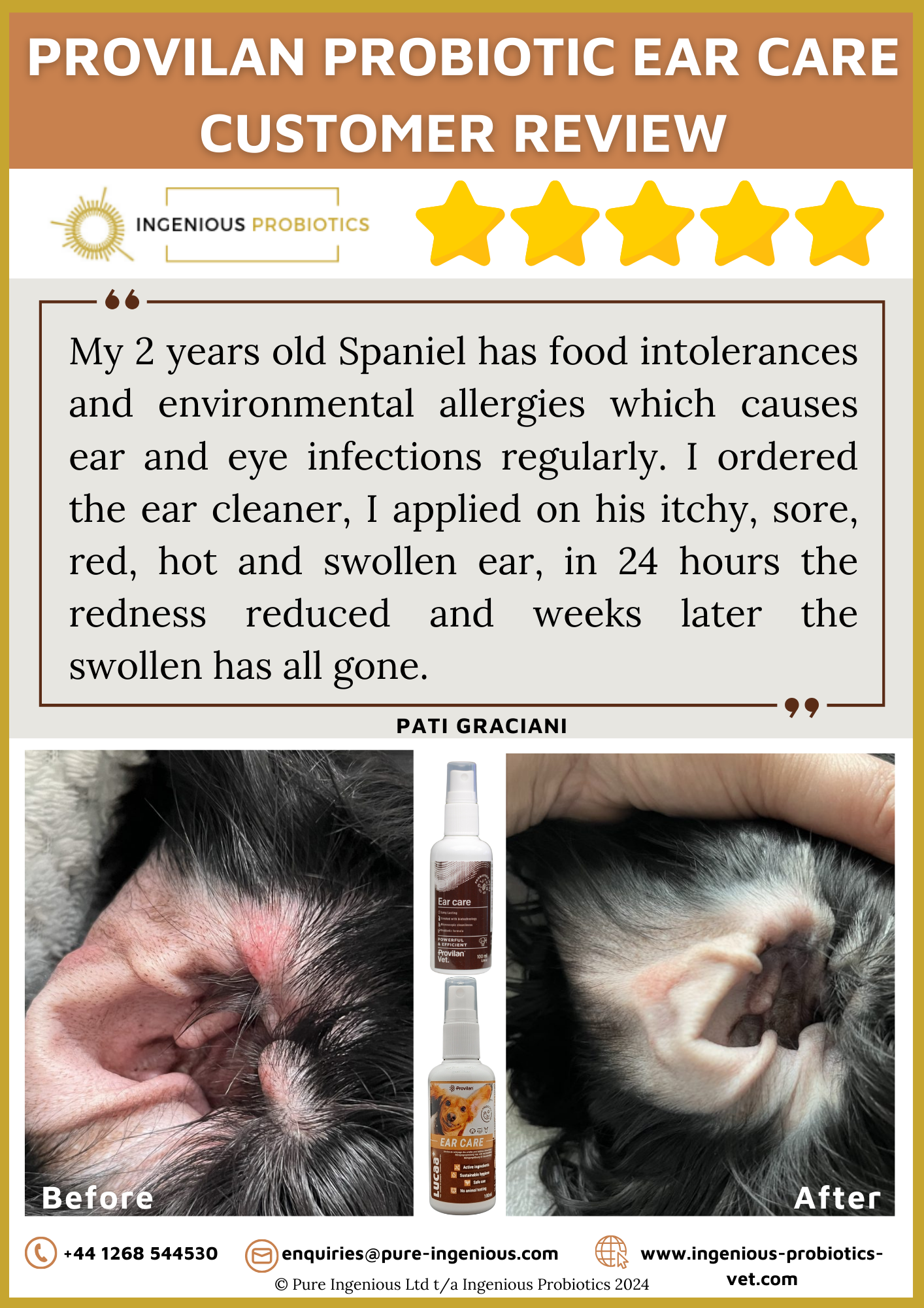Environmental Ear Allergy