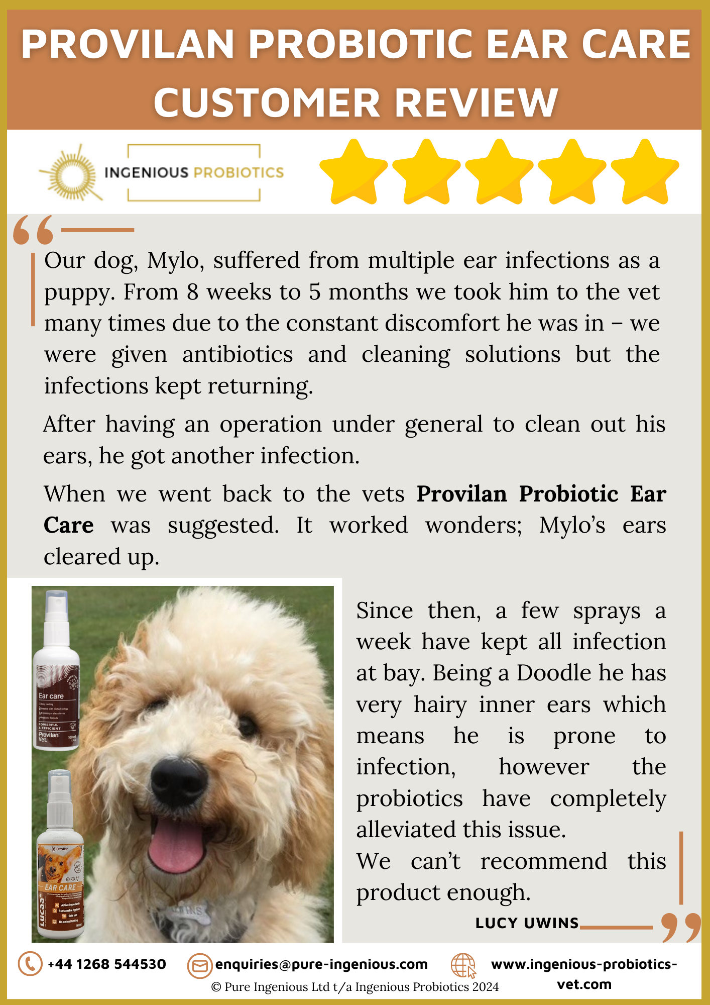 Recurrent Ear Infections