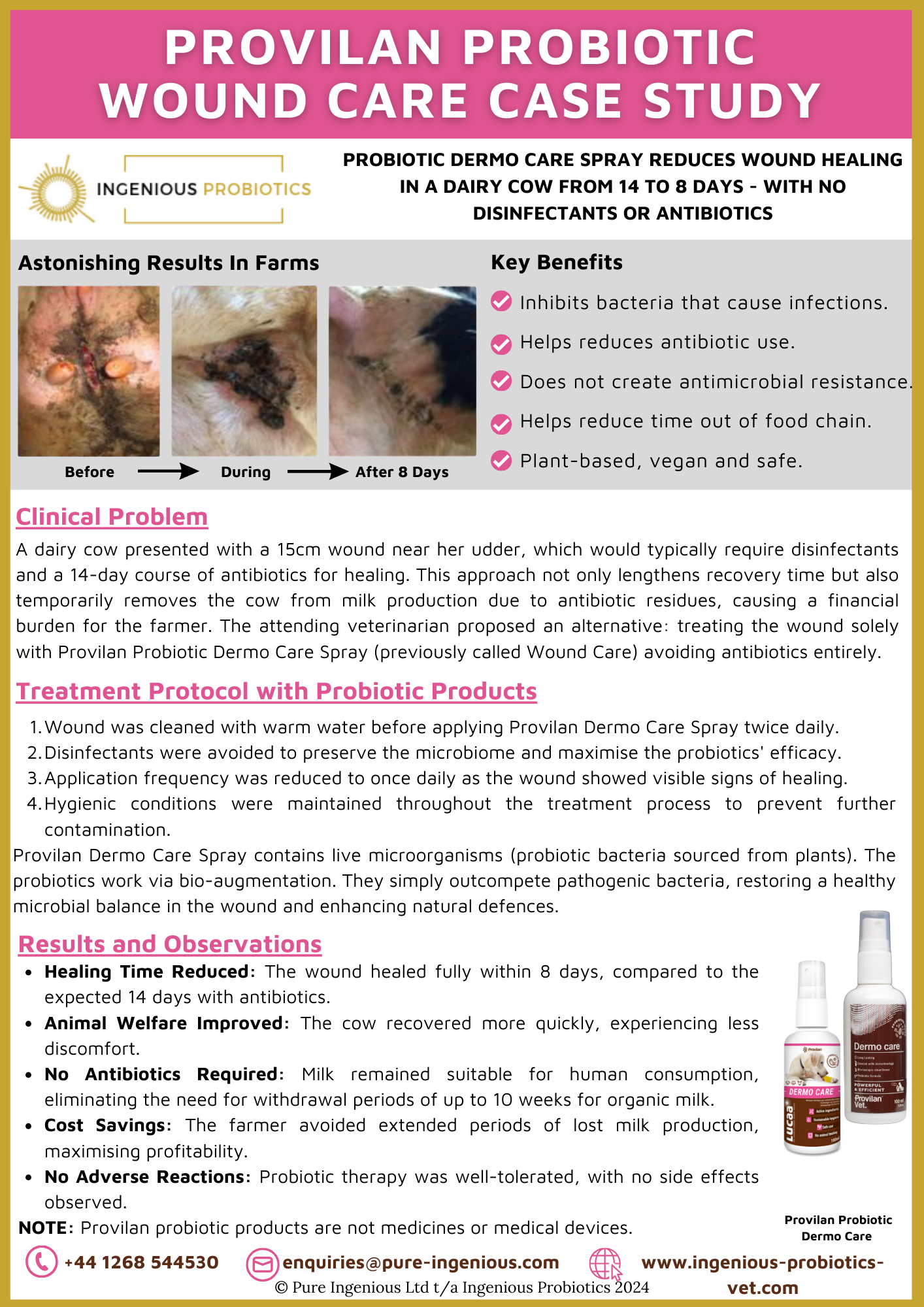 Probiotic Spray for Dairy Cow Udder Wound Management