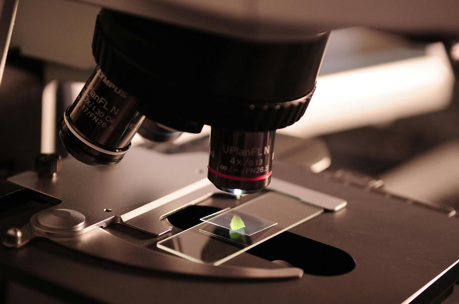 Researcher with a microscope